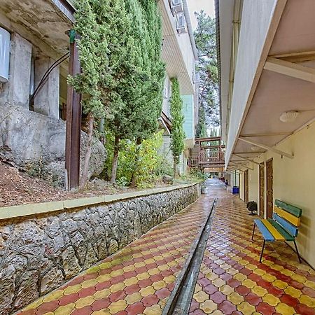 Пансионат Солнечный Гагра Экстерьер фото